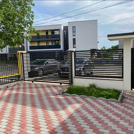 Cozy Apartament With 2Rooms Timişoara Eksteriør billede