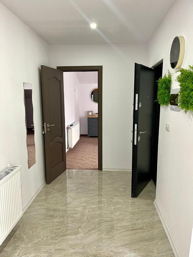 Cozy Apartament With 2Rooms Timişoara Eksteriør billede
