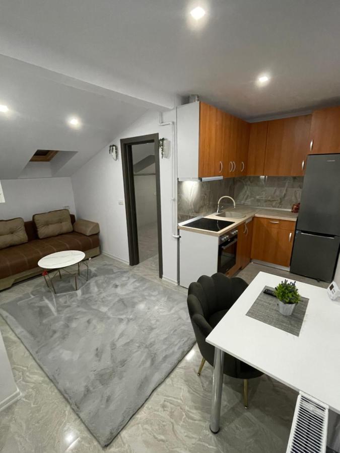 Cozy Apartament With 2Rooms Timişoara Eksteriør billede