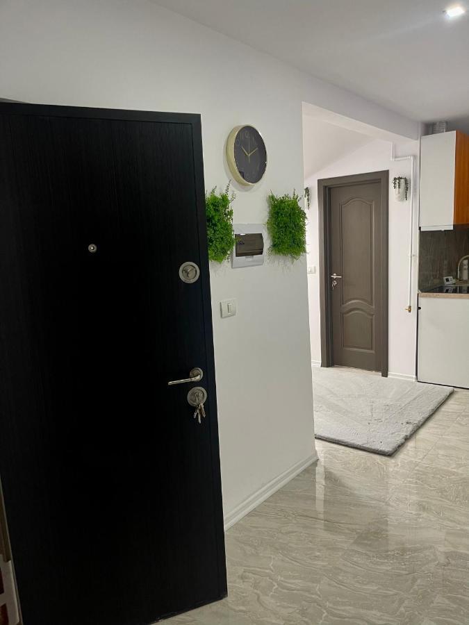 Cozy Apartament With 2Rooms Timişoara Eksteriør billede