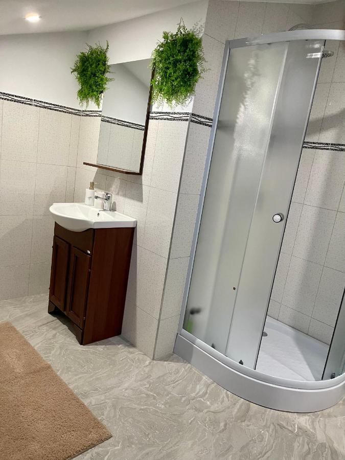 Cozy Apartament With 2Rooms Timişoara Eksteriør billede